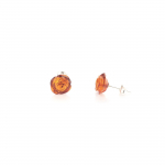  Earrings NF-00000232, image 1 