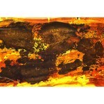  Souvenir amber stone В.09.7.0011, image 3 