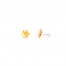  Earrings NF-00000230, image 1 