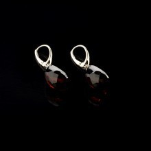  Earrings NF-00001243, image 3 