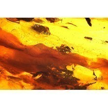  Souvenir amber stone В.09.7.0011, image 3 