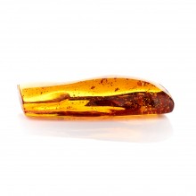  Souvenir amber stone with inclusion В.09.7.0013, image 1 