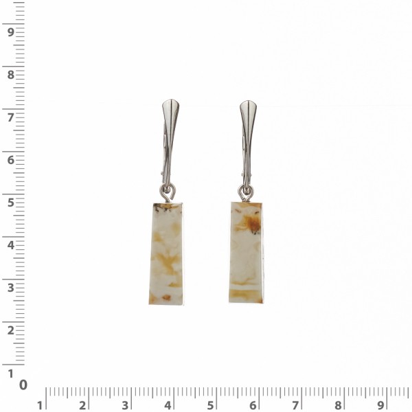  Earrings NF-00001725, image 6 