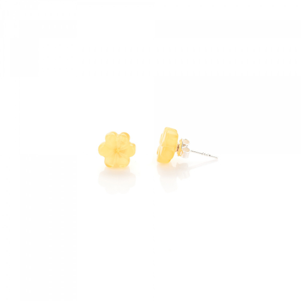  Earrings NF-00001420, image 1 